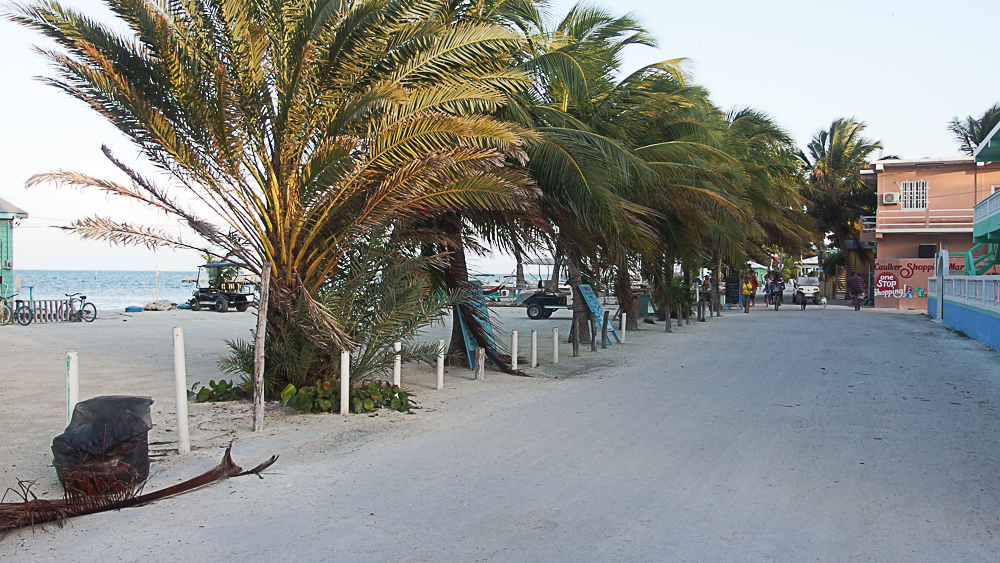 Caye Caulker